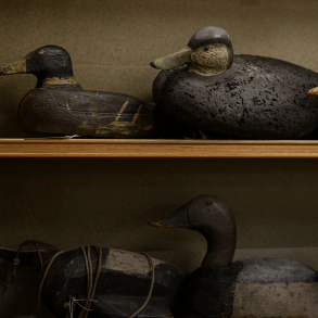 Decoys